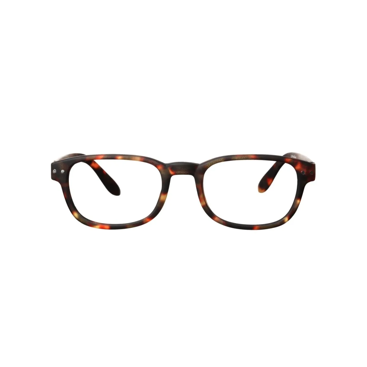 IZIPIZI Reading Shape #B  2.5 Tortoise