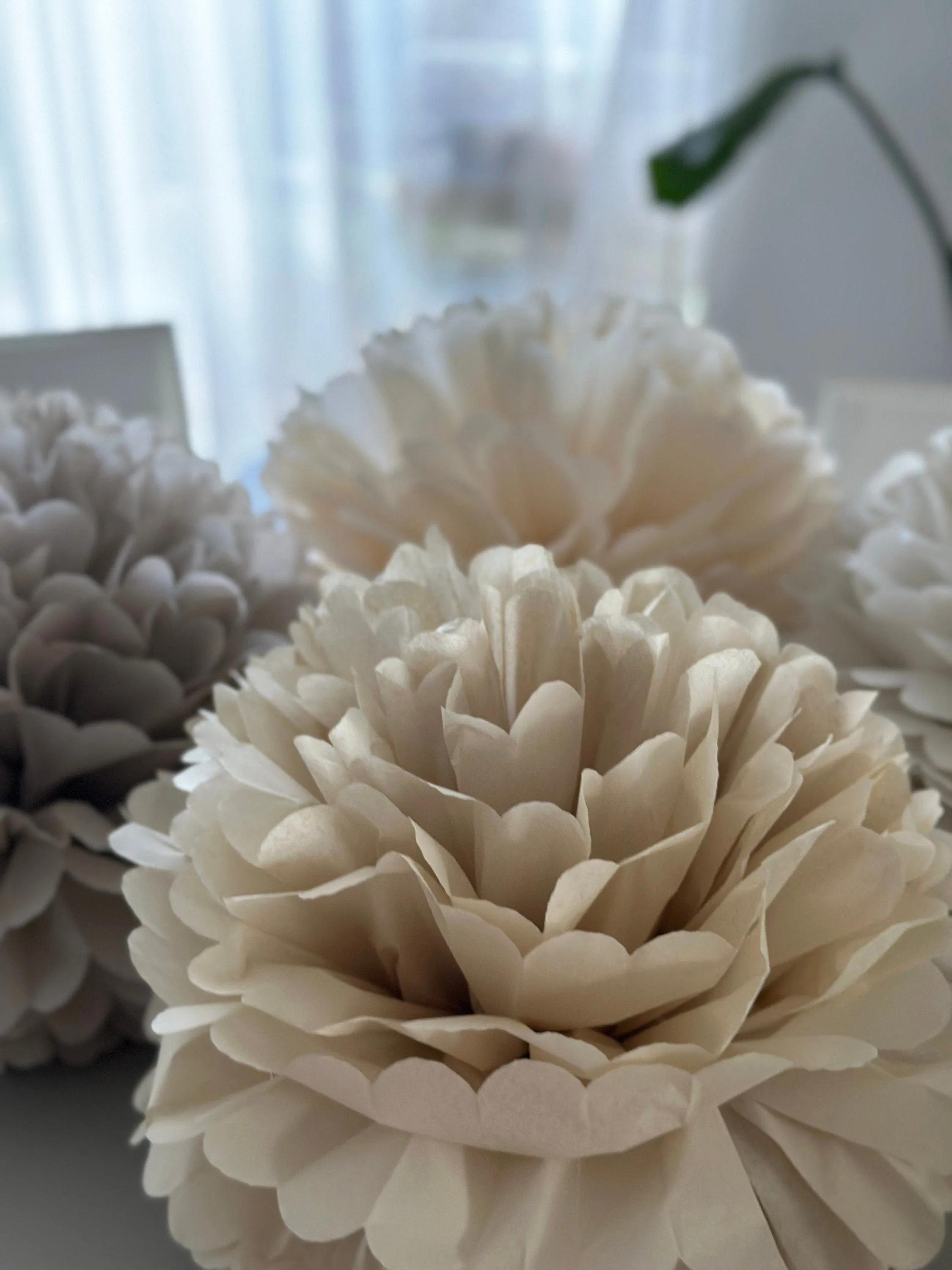 Neutral wedding Large paper pom poms set, beige, taupe  Paper flowers decor for Birthdays, baby showers, bridal shower  party decor