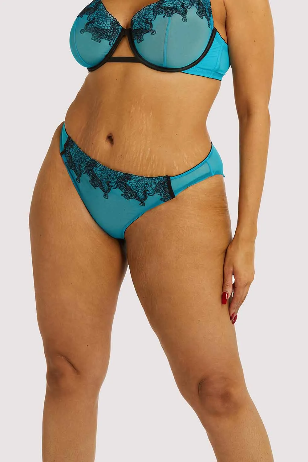 Tiger Blue Hipster Brief