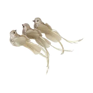 Vixen & Velvet Glam Bird Clip Champagne 3cm